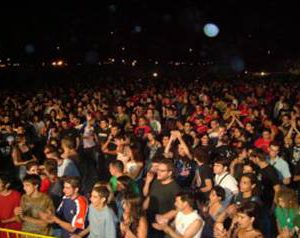 vikalvarrada festival