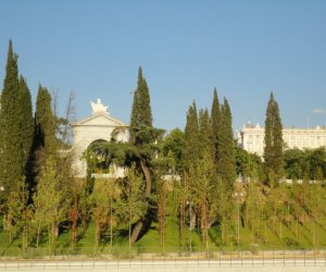 DSC00478