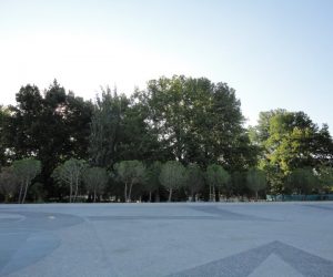 DSC00482