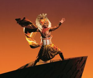 ERL Simba Foto de Johann Persson