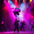 shrek musical madrid 1