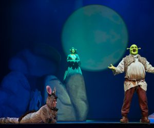shrek musical madrid 6