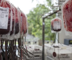 Donar sangre en Madrid 2
