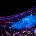 Red Bull X Fighters Ventas