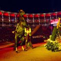 red bull x fighters ventas madrid 4