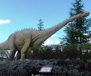 Diplodocus