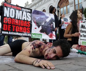 contra la tauromaquia