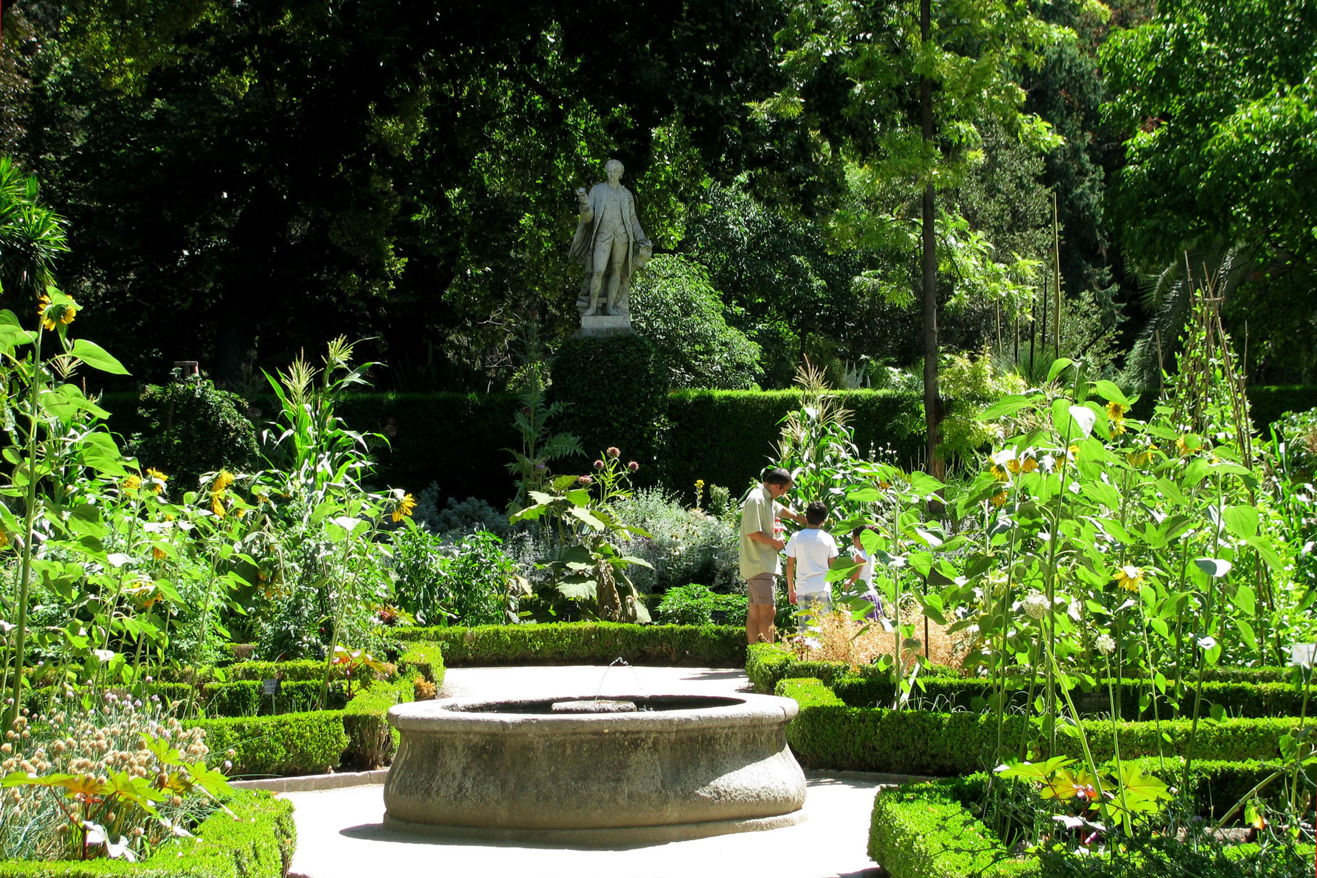 El Jardín Botánico, la joya natural del centro de Madrid 1 Real Jardín Botánico de Madrid