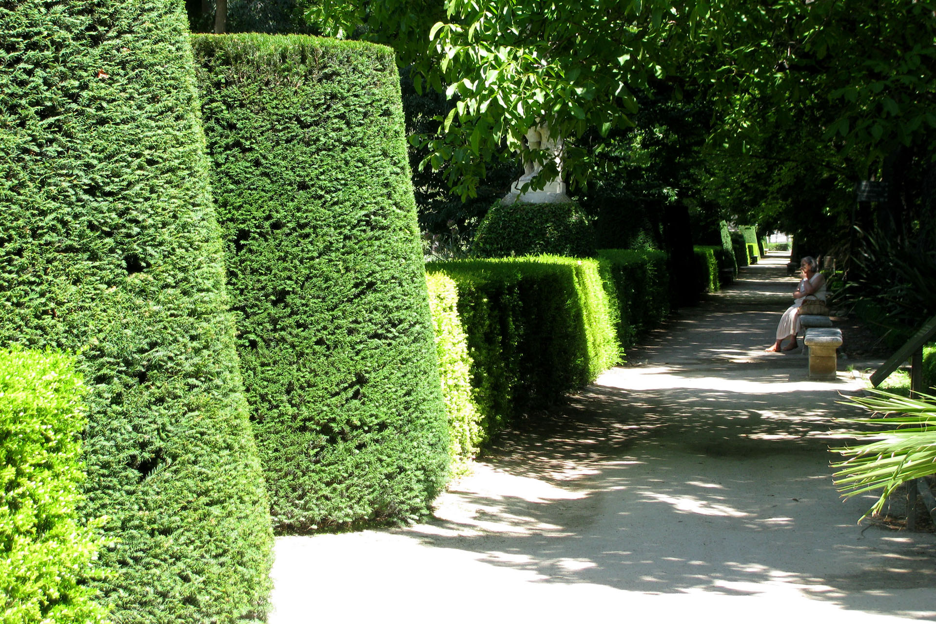 El Jardín Botánico, la joya natural del centro de Madrid 7 Real Jardín Botánico de Madrid