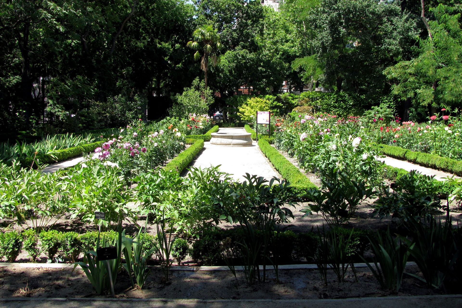 El Jardín Botánico, la joya natural del centro de Madrid 3 Botánico