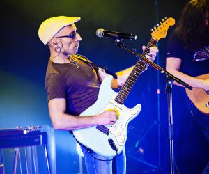 fito 4