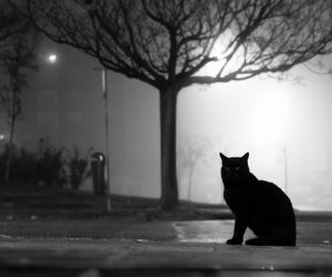 02.00 H. Sergio Valencia