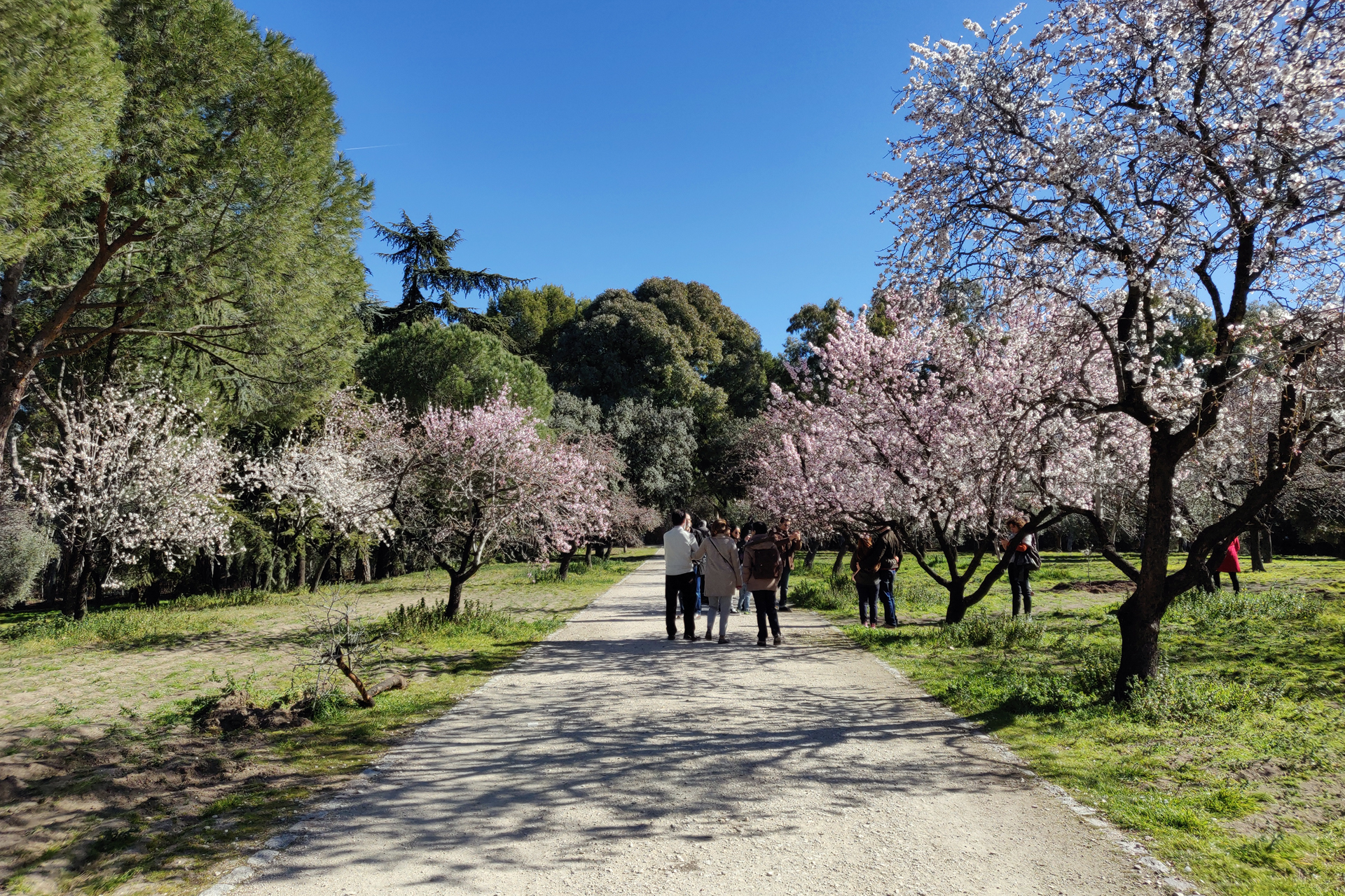 La Quinta de los Molinos 7 Quinta de los Molinos