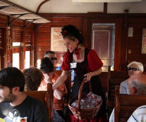 Tren de la Fresa 4