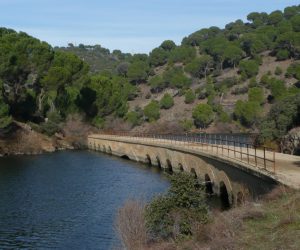 Embalse de Picadas 3
