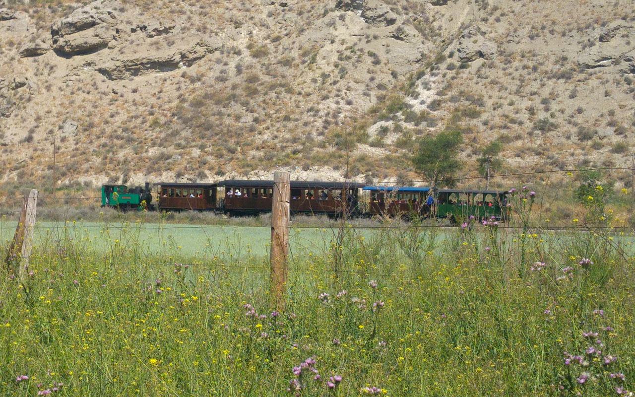 Viaja en el Tren de Arganda, el que pita más que anda 3 Viaja en el Tren de Arganda, el que pita más que anda