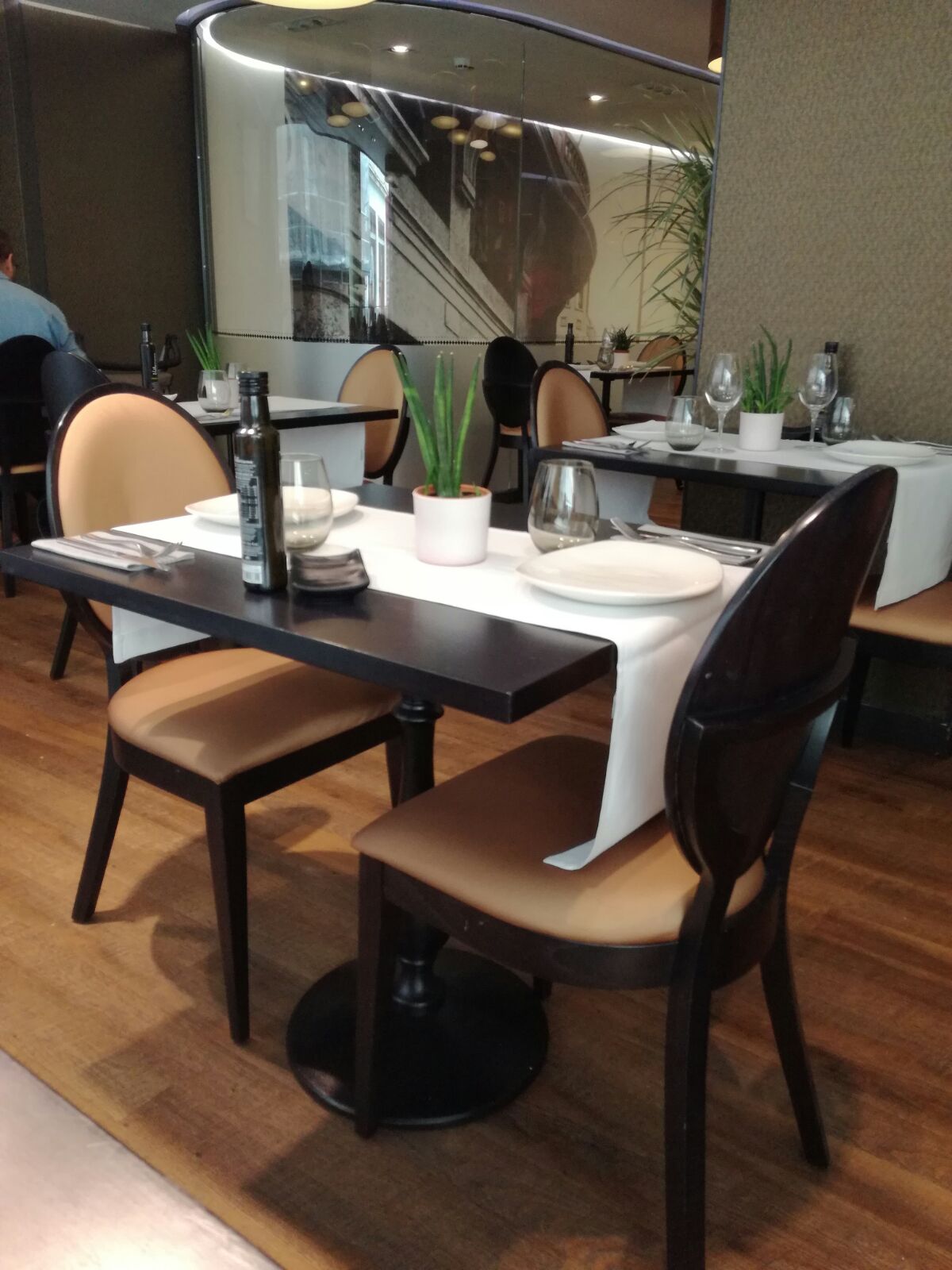 El Gato Canalla del Hotel Índigo 1 El Gato Canalla