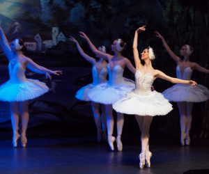 El Lago de los Cisnes 1