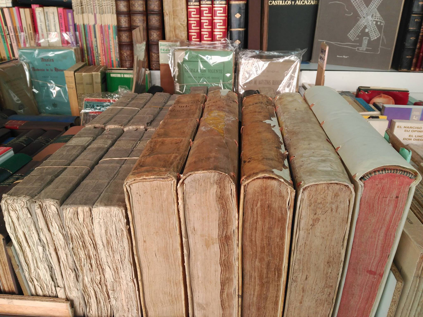 Feria del Libro Antiguo y de Ocasión: la primavera llena el Paseo de Recoletos de miles de libros llenos de historia pero muy vivos 3 Feria del Libro Antiguo y de Ocasión