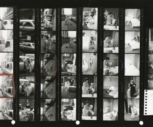 Una llama en Times SQ1957. HC copyright IngeMorath Magnum Photos copia