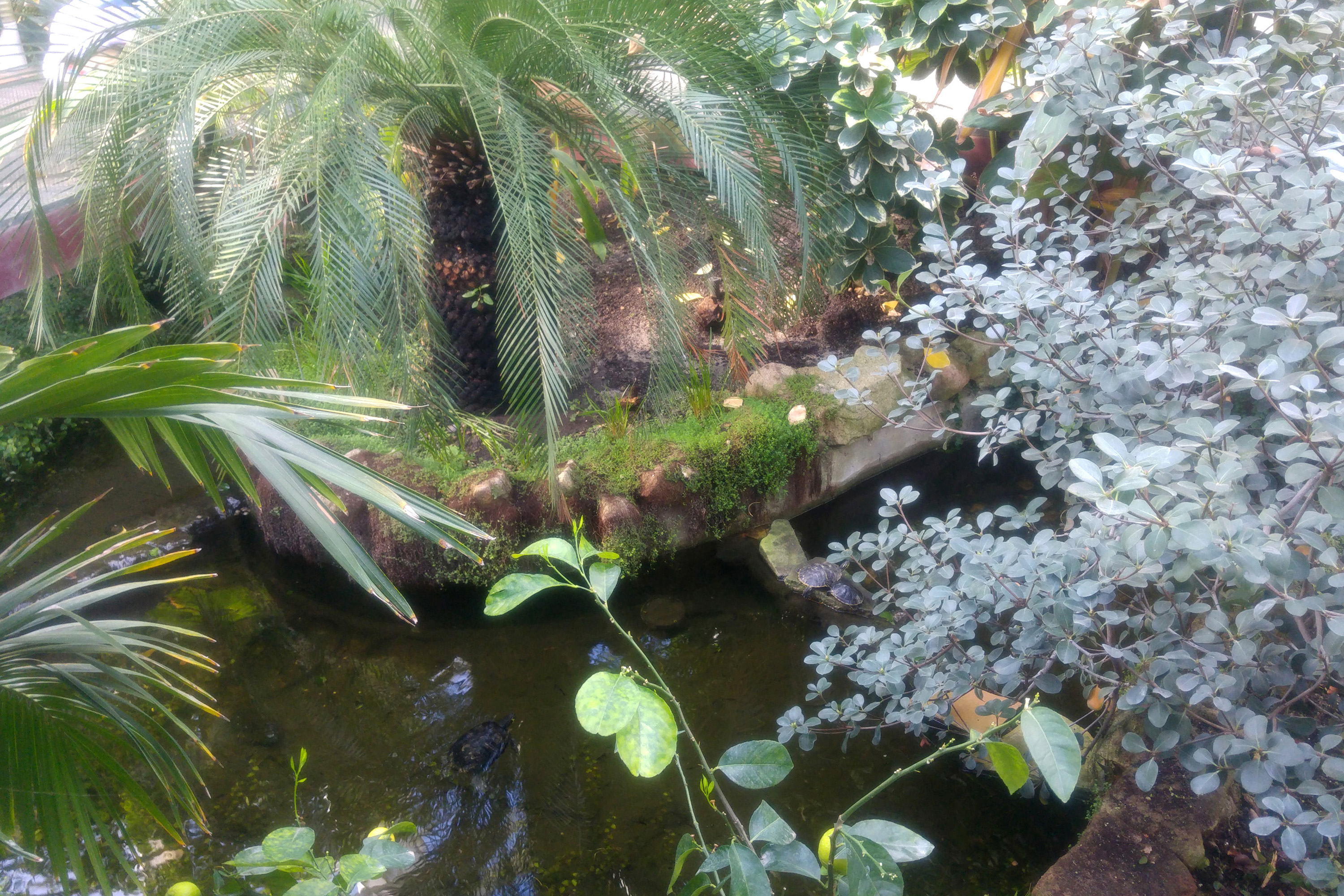 El Palacio de Cristal de la Arganzuela y su desconocido encanto 4 Arganzuela