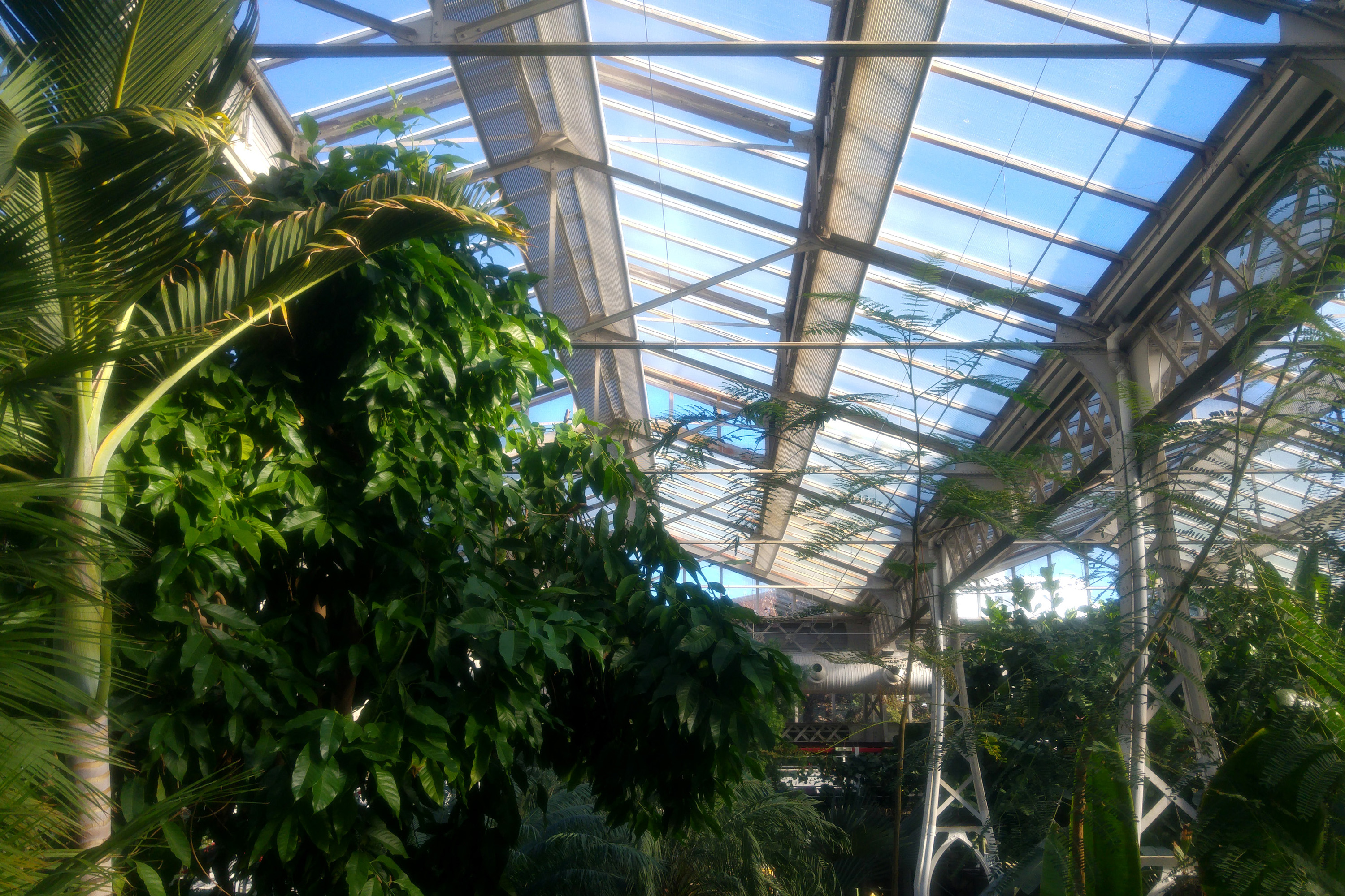 El Palacio de Cristal de la Arganzuela y su desconocido encanto 7 El discreto encanto del Palacio de Cristal de la Arganzuela