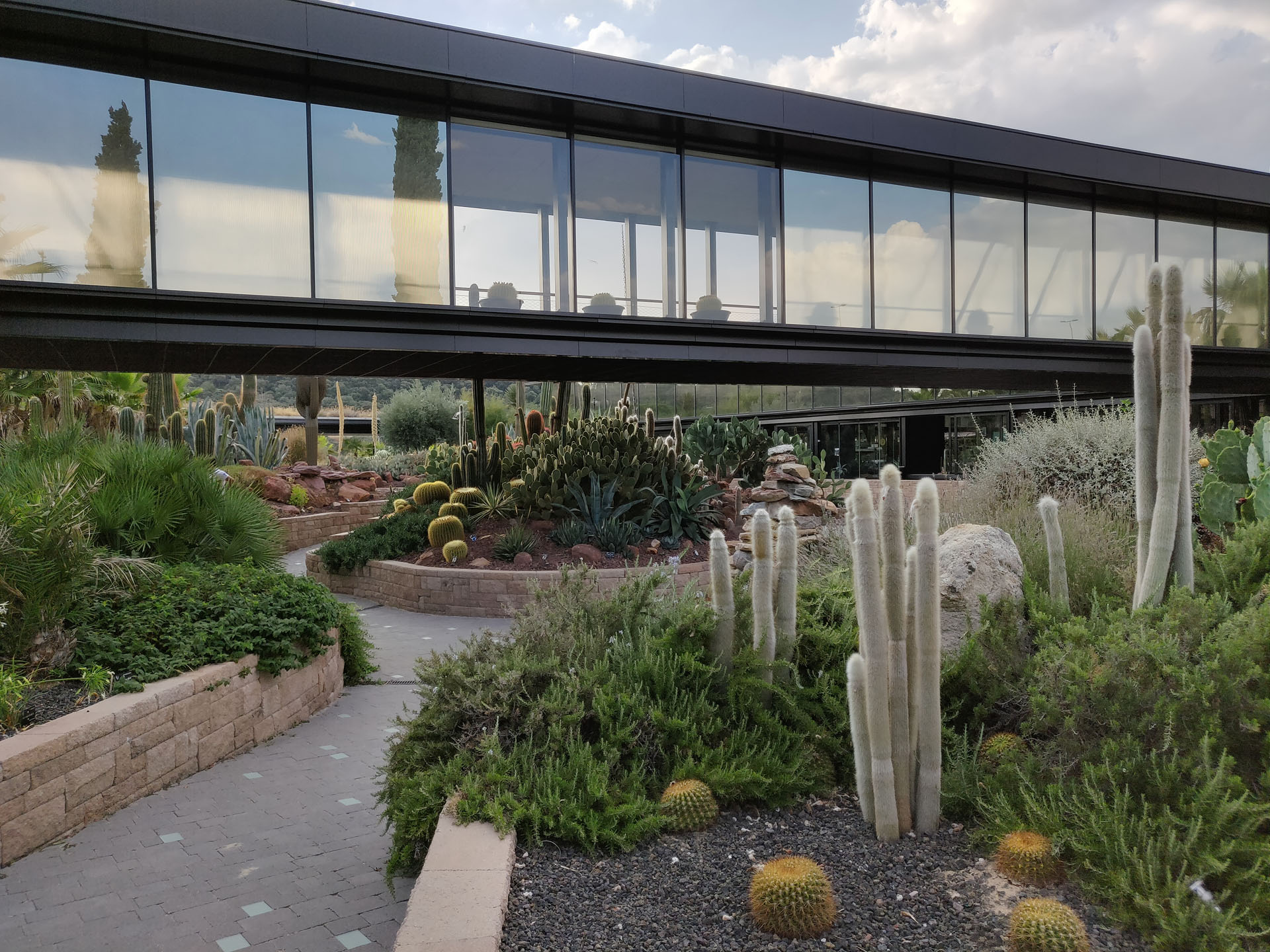 Desert City es un oasis de cactus en Madrid 3 Desert City