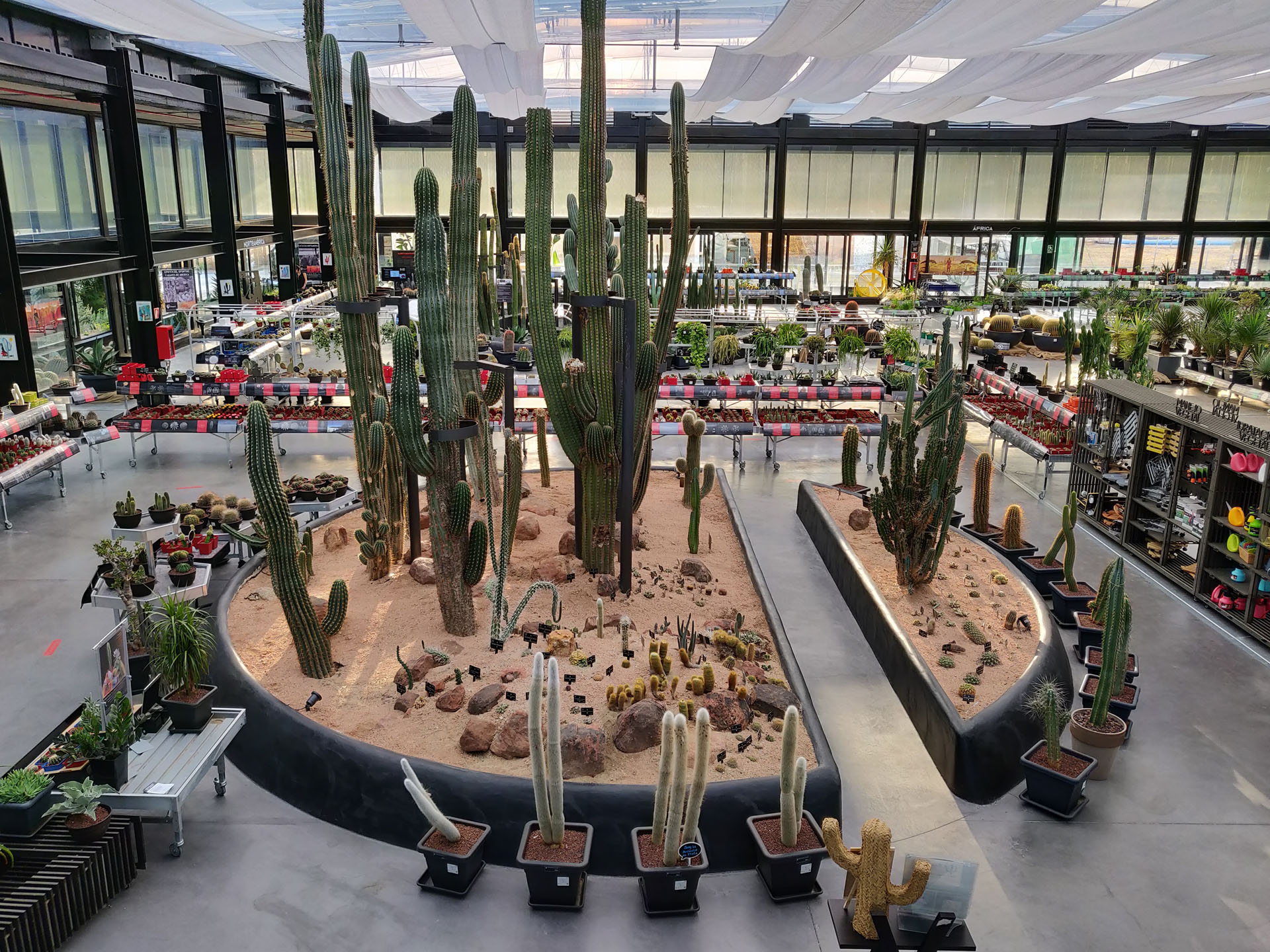 Desert City es un oasis de cactus en Madrid 5 Desert City 30