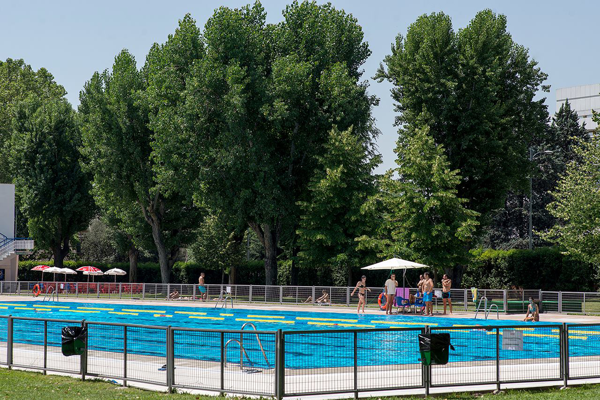 La piscina de verano de la Complutense 3 La piscina de verano de la Complutense