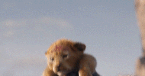 Vuelve el Cine de Verano del Conde Duque 12 the lion king