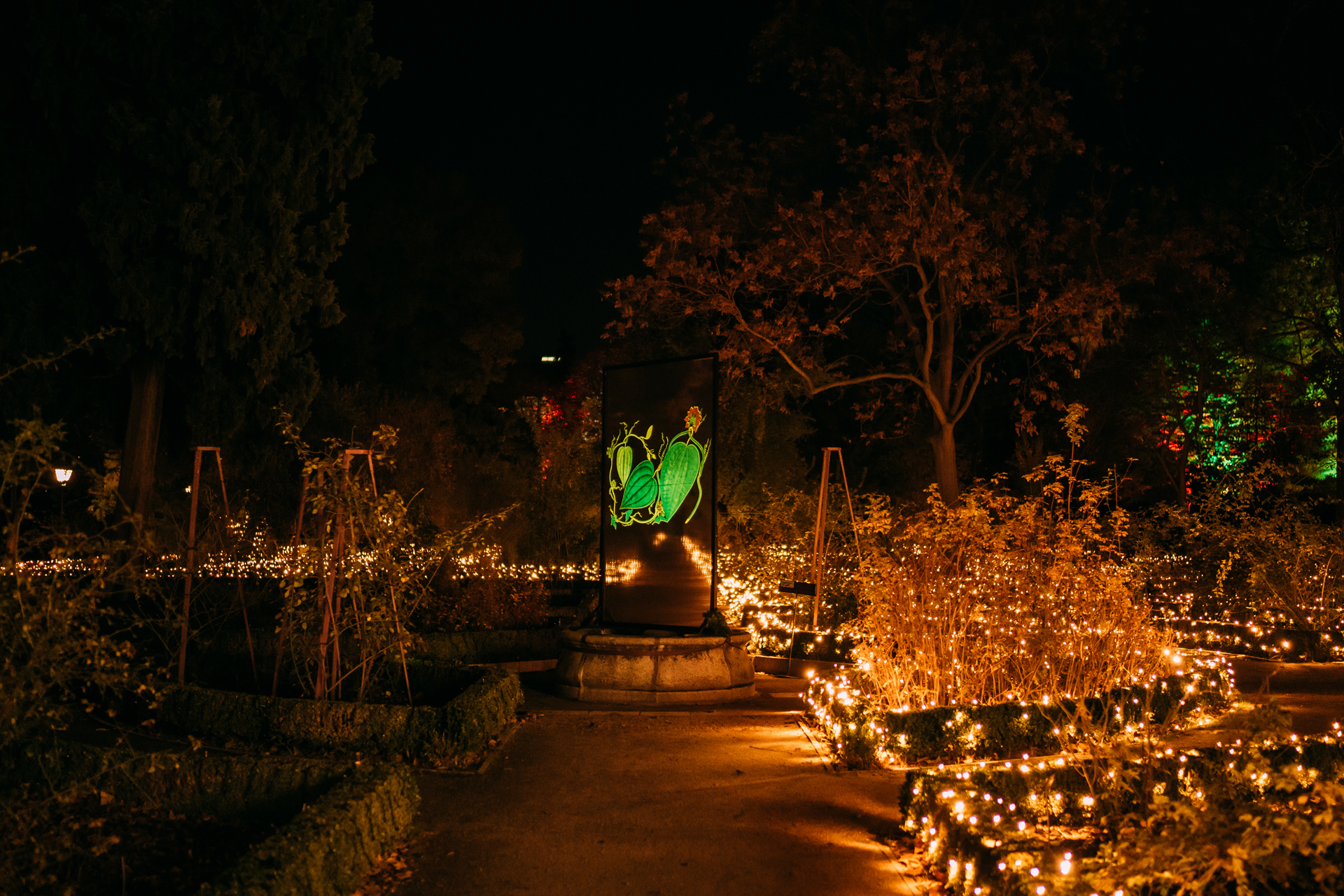 Las Luces del Real Jardín Botánico 3 Las Luces del Real Jardín Botánico