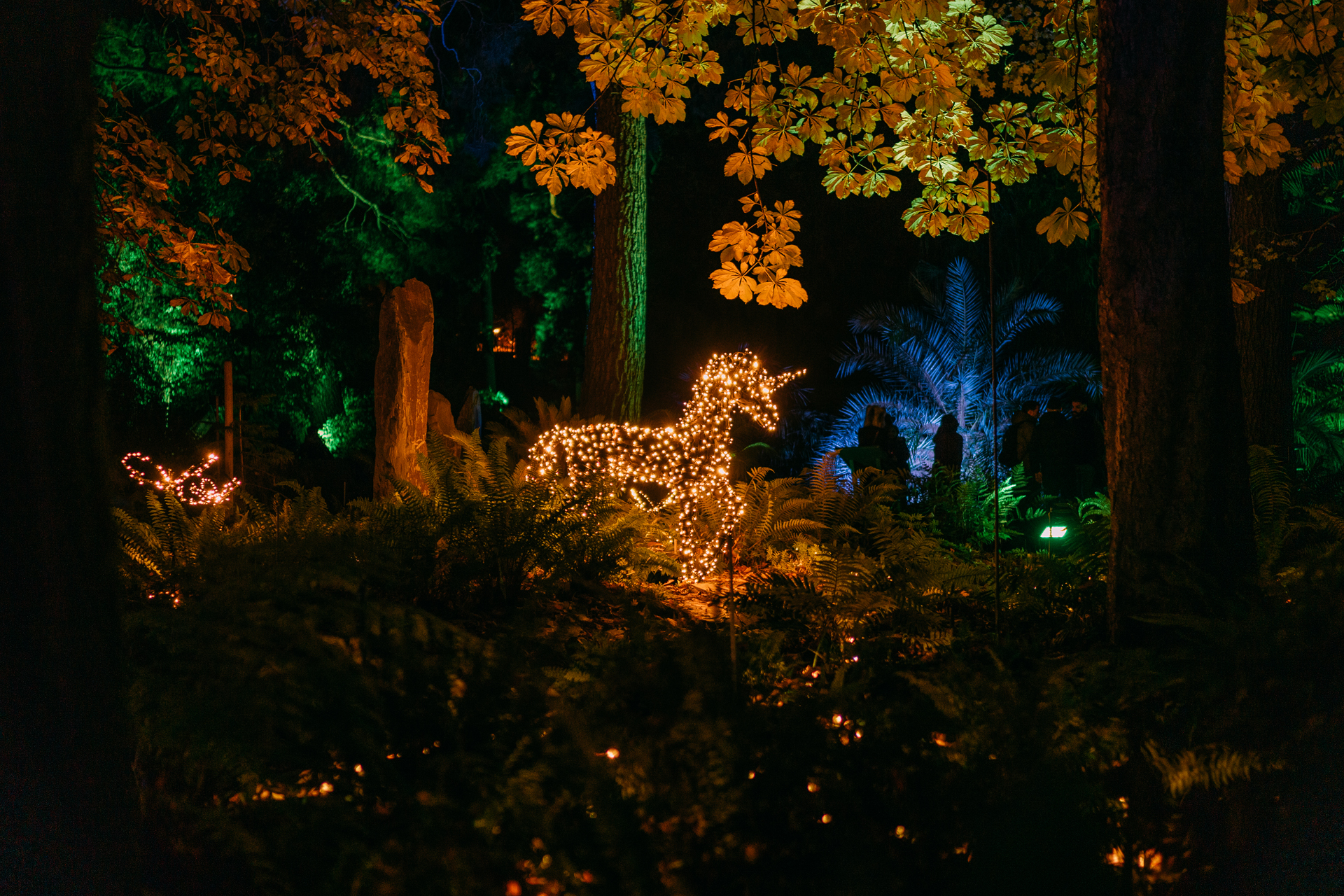 Las Luces del Real Jardín Botánico 2 Las Luces del Real Jardín Botánico