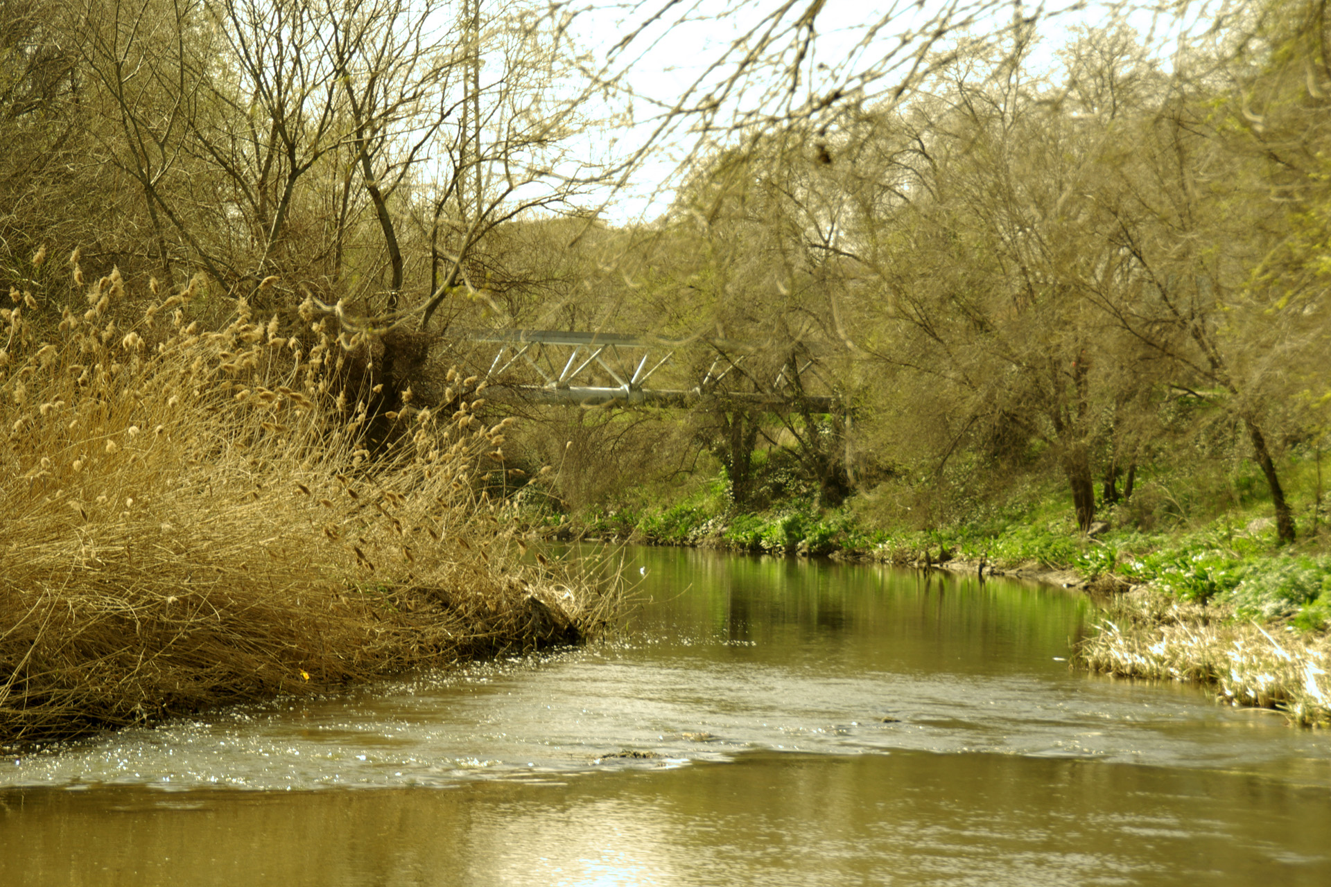 El Parque Lineal del Manzanares es mucho más de lo que parece 9 Tramo 2