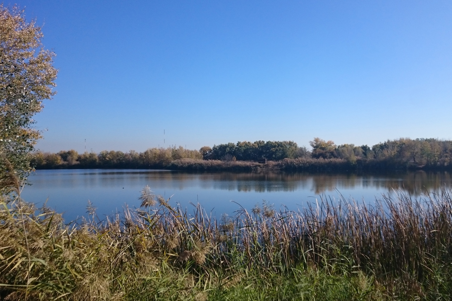 El Parque Lineal del Manzanares es mucho más de lo que parece 10 El Soto de las Juntas