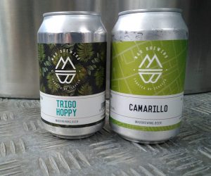 Las mejores cervezas artesanas de Madrid 10 cervezas artesanas de Madrid