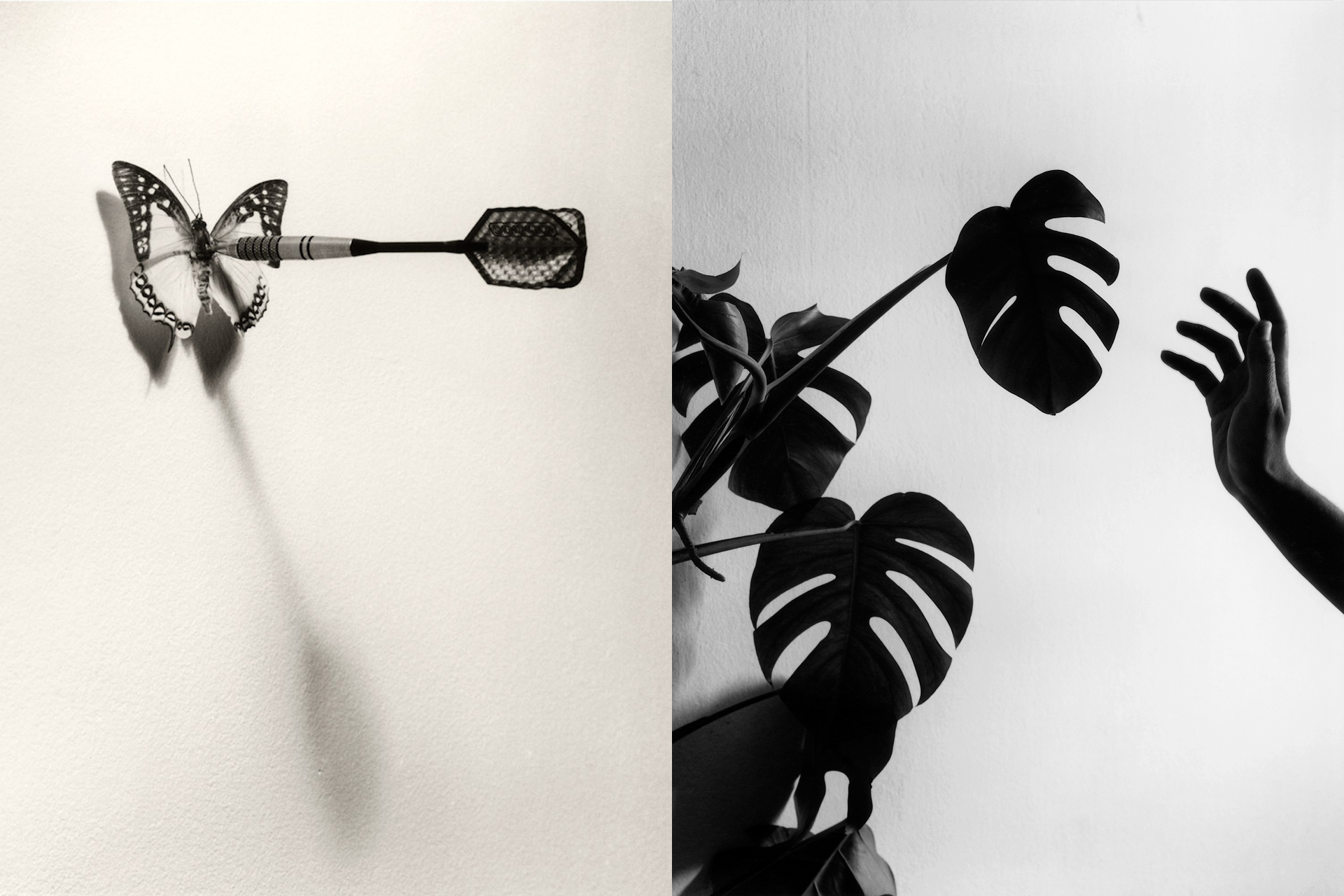 La naturaleza de las cosas vista por Chema Madoz en el Jardín Botánico 2 La naturaleza de las cosas vista por Chema Madoz