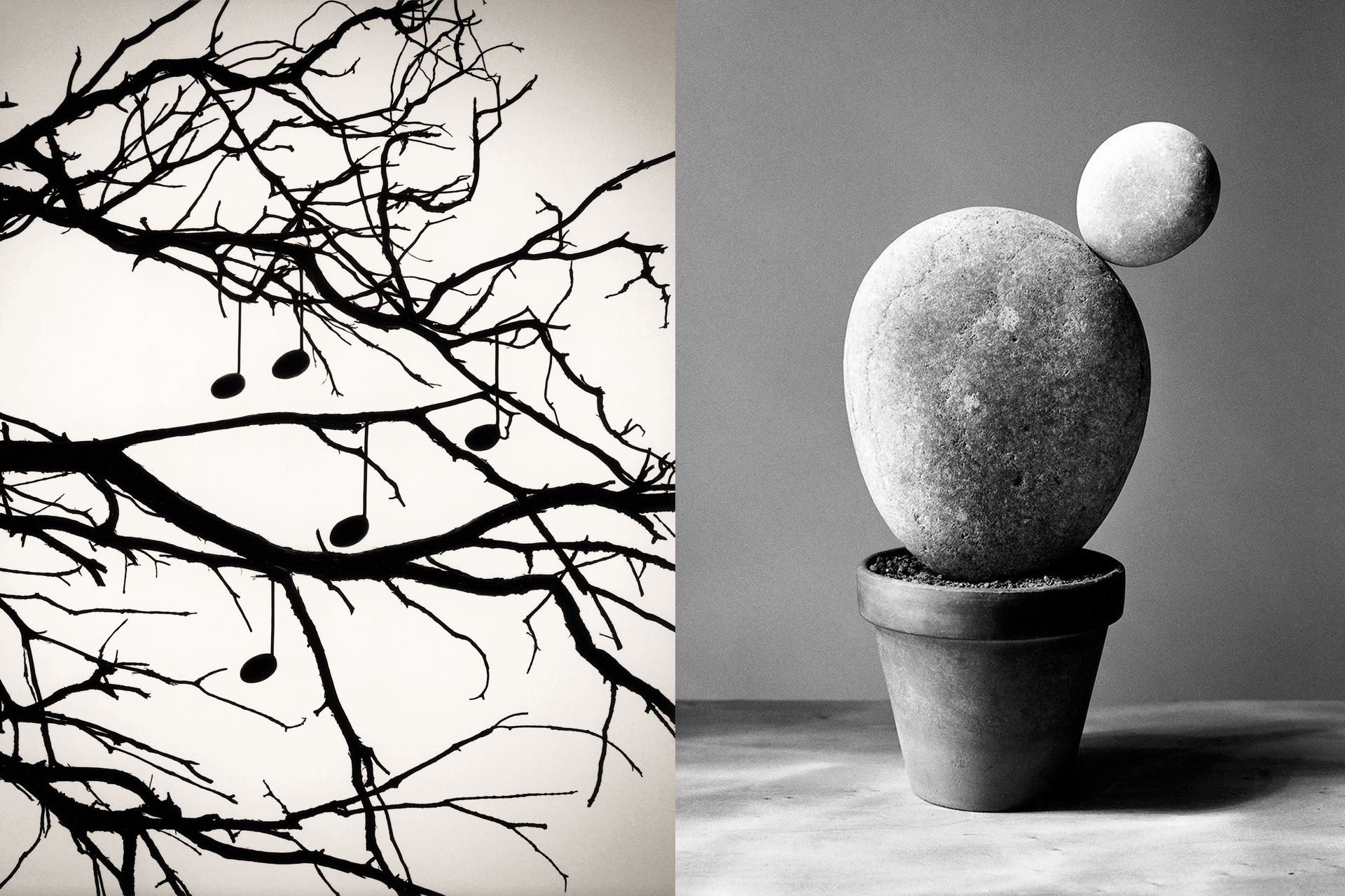 La naturaleza de las cosas vista por Chema Madoz en el Jardín Botánico 3 La naturaleza de las cosas vista por Chema Madoz