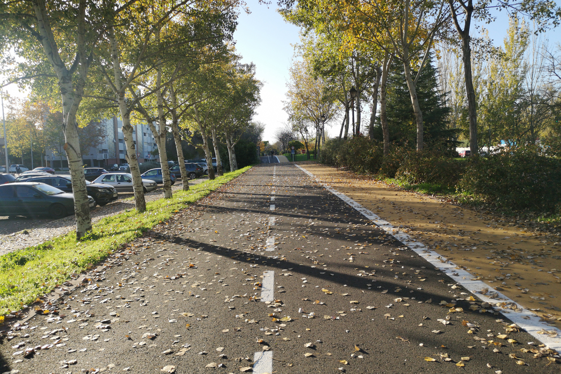El Anillo Verde de Madrid sigue triunfando 2 Anillo Verde