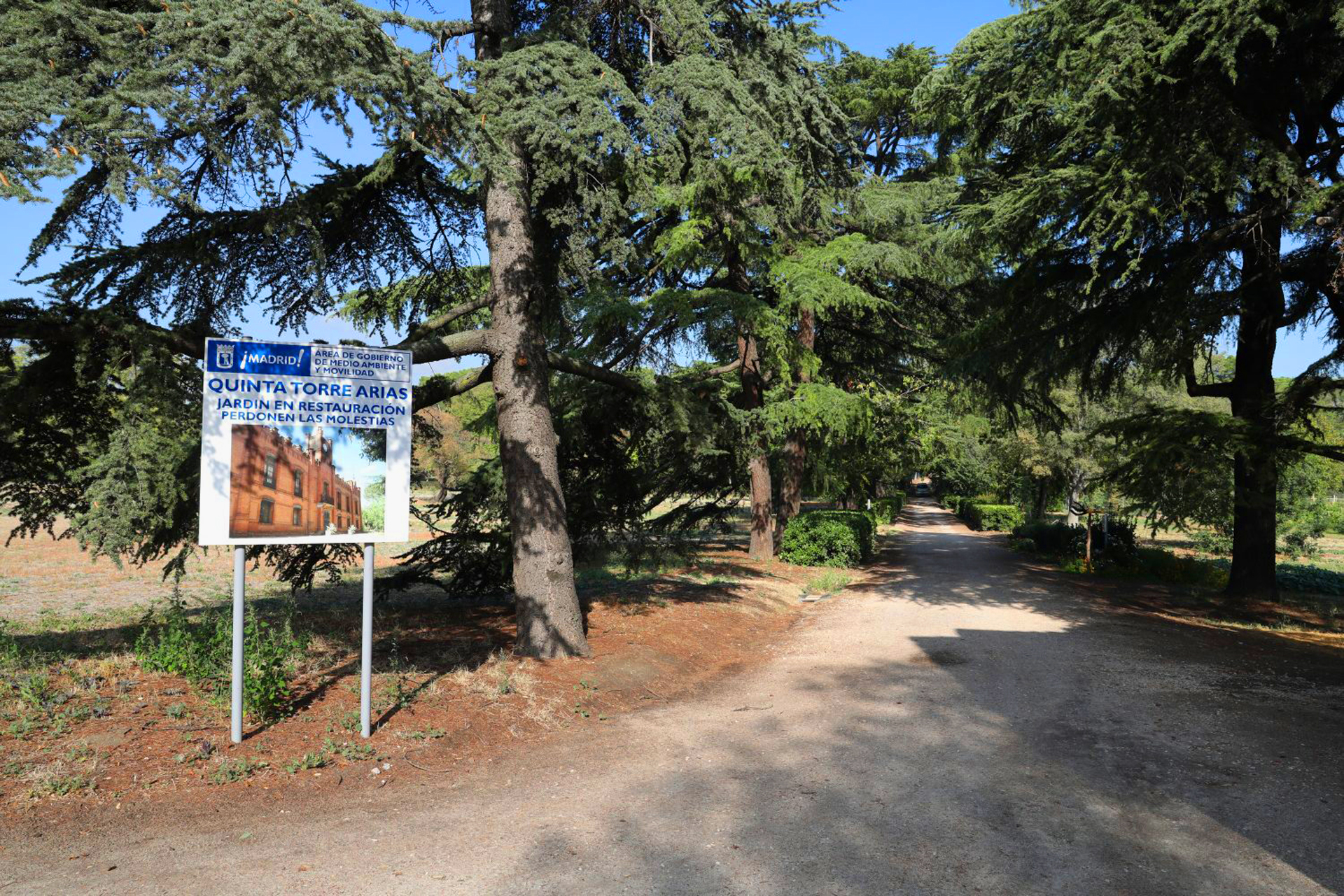 Pasea Madrid para conocer la ciudad y sus secretos 3 Pasea Madrid
