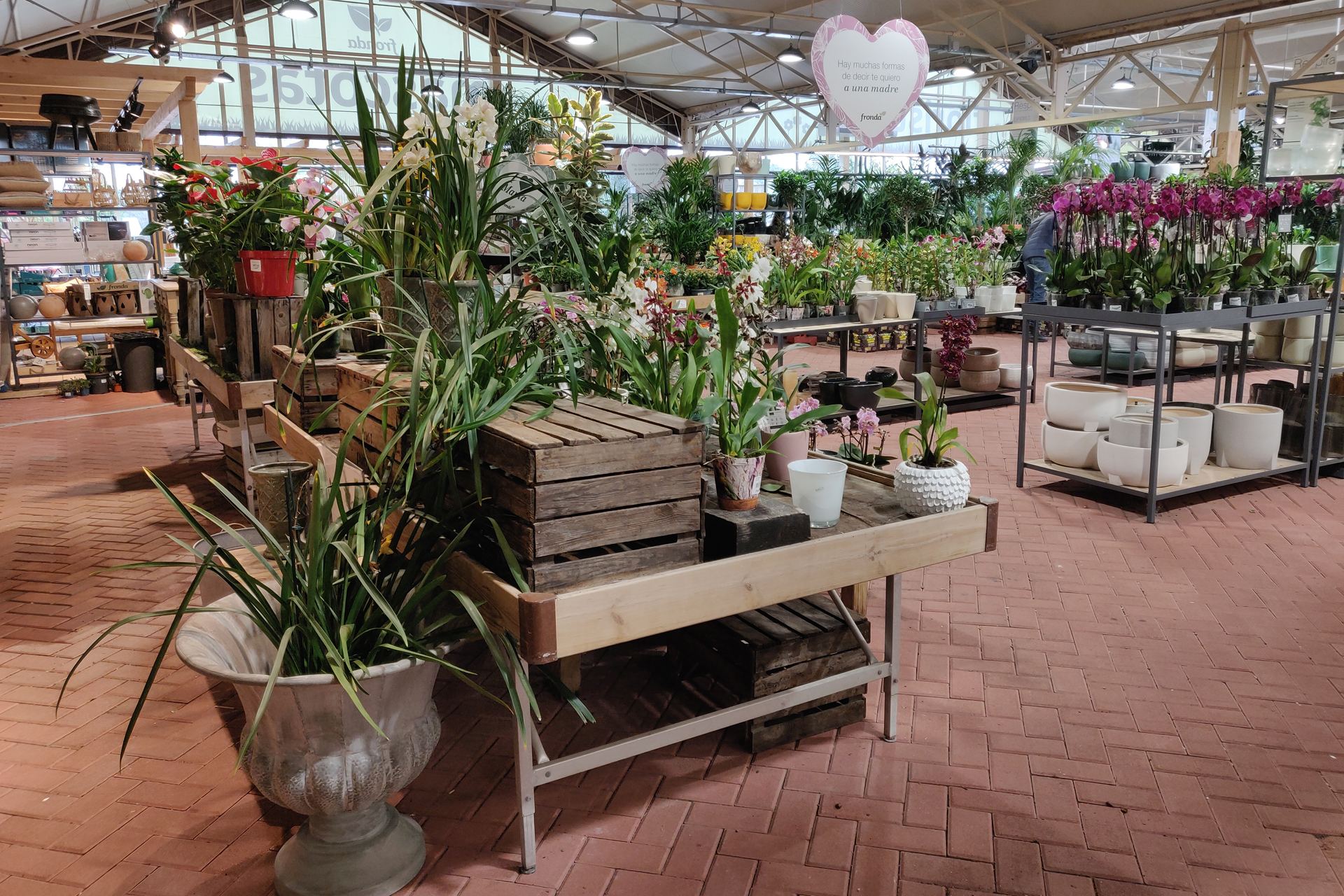 Fronda, el vivero para disfrutar de tu pasión por las plantas 3 Fronda