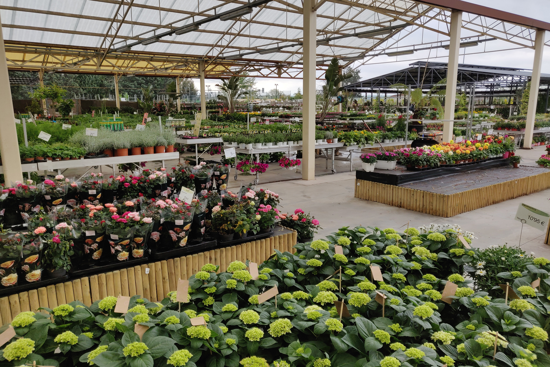 Fronda, el vivero para disfrutar de tu pasión por las plantas 5 Fronda