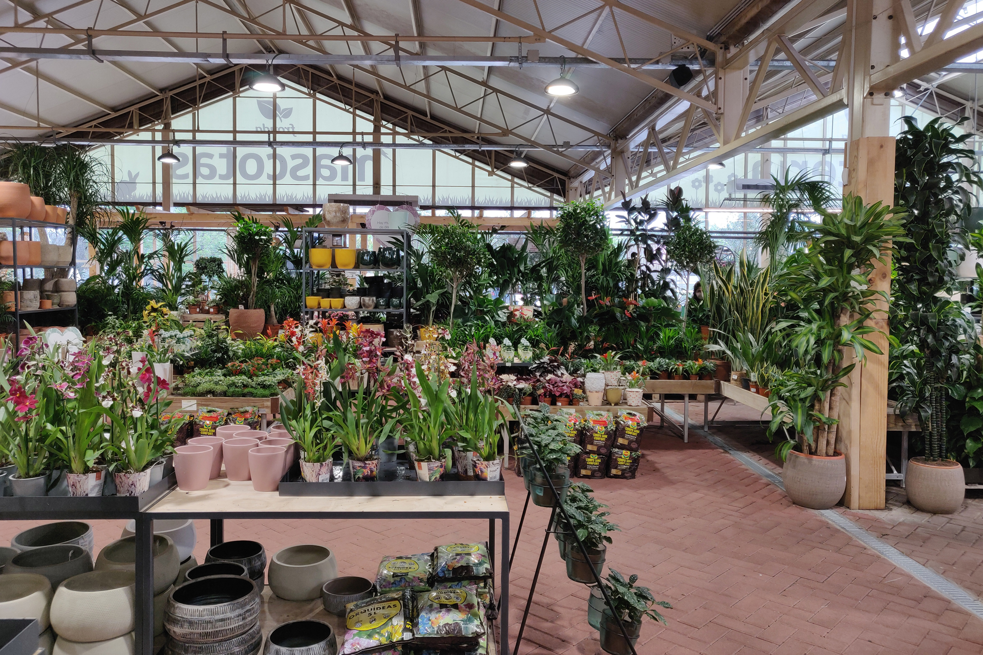 Fronda, el vivero para disfrutar de tu pasión por las plantas 2 Fronda