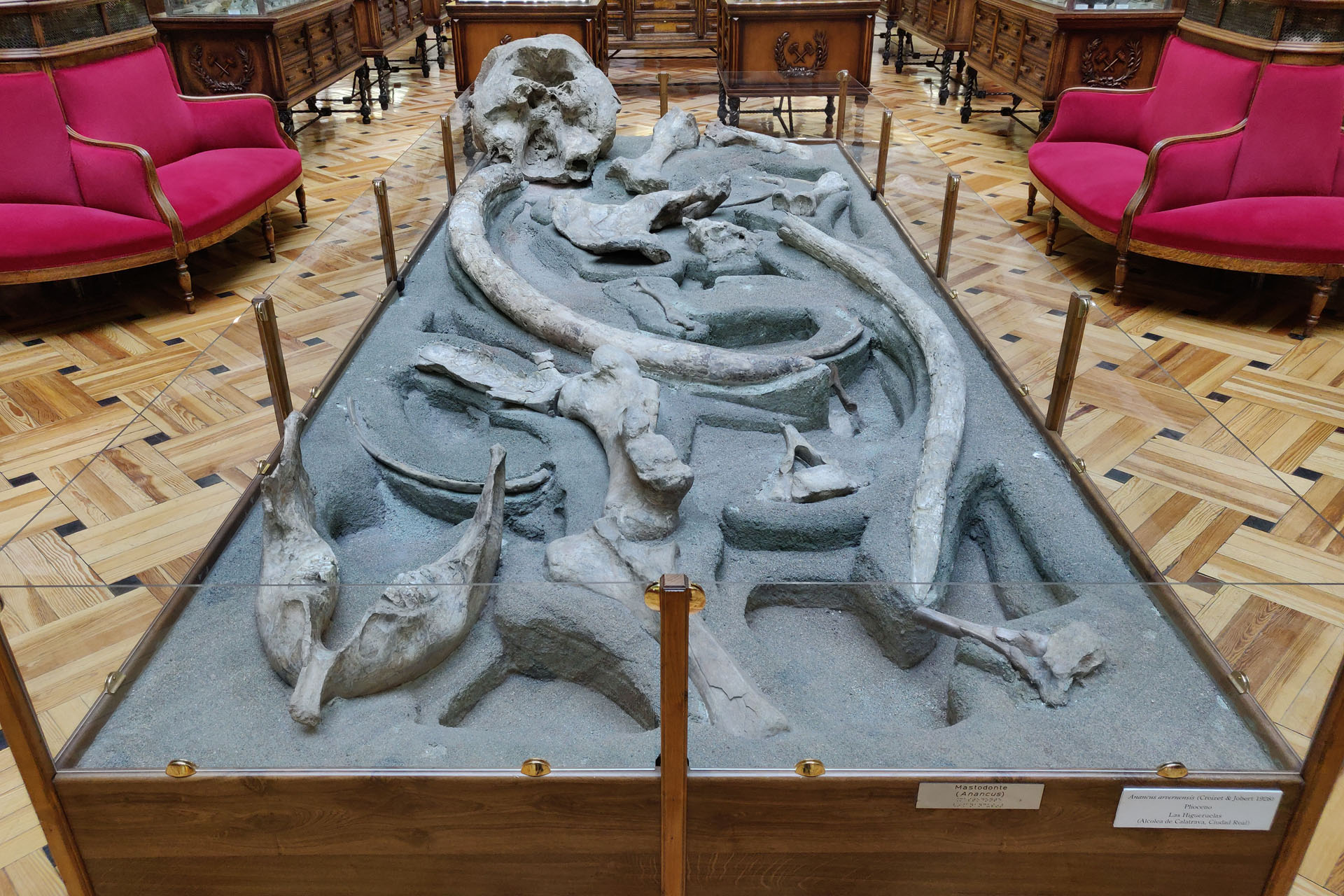 Museo Geominero, una auténtica joya por descubrir 7 Museo Geominero