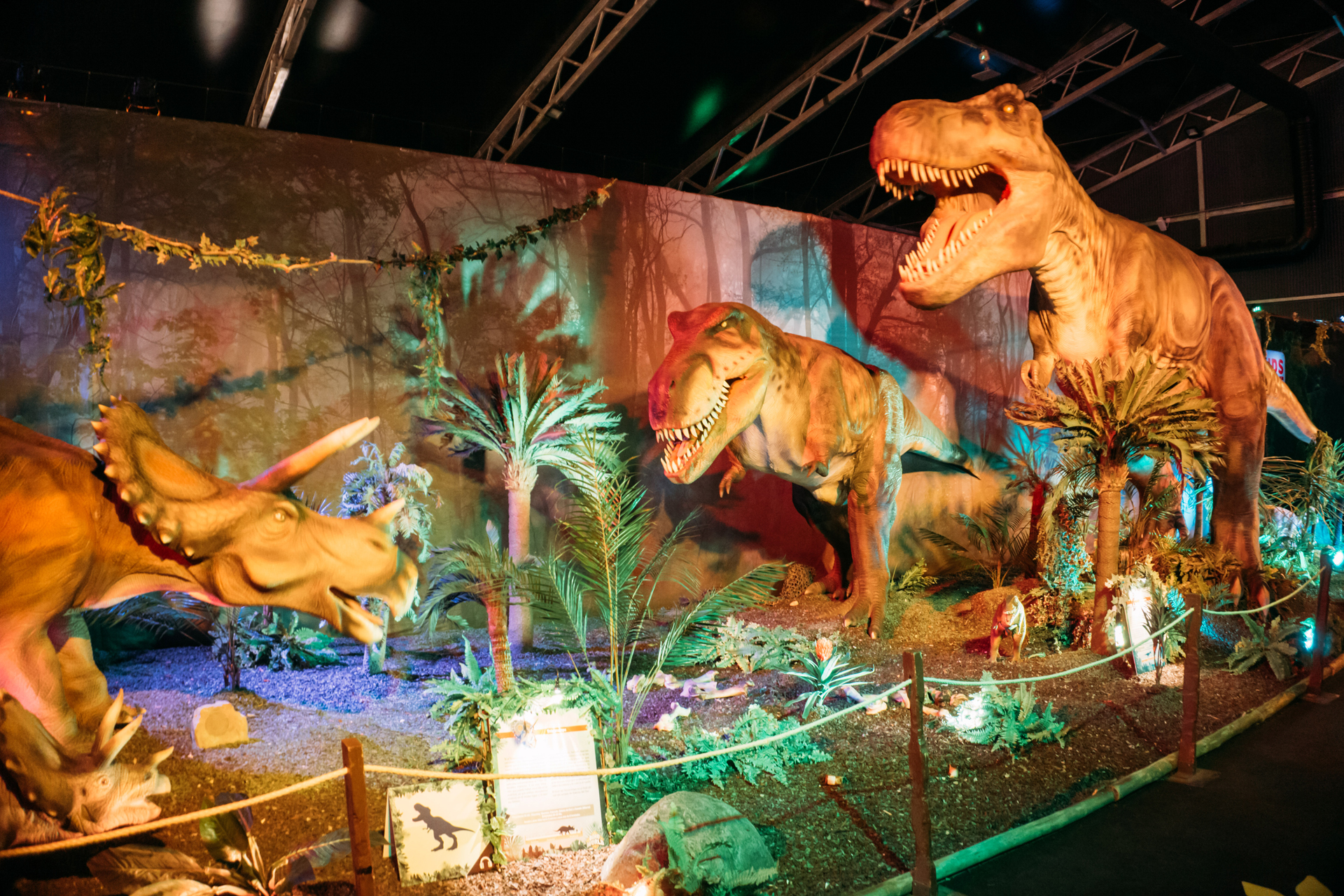 Dino World, un viaje jurásico en Ifema 4 Dino World