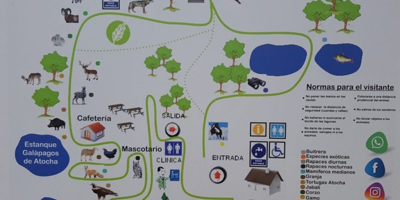 Centro de fauna Kuna Ibérica, ocio y naturaleza para peques 2 Kuna Ibérica