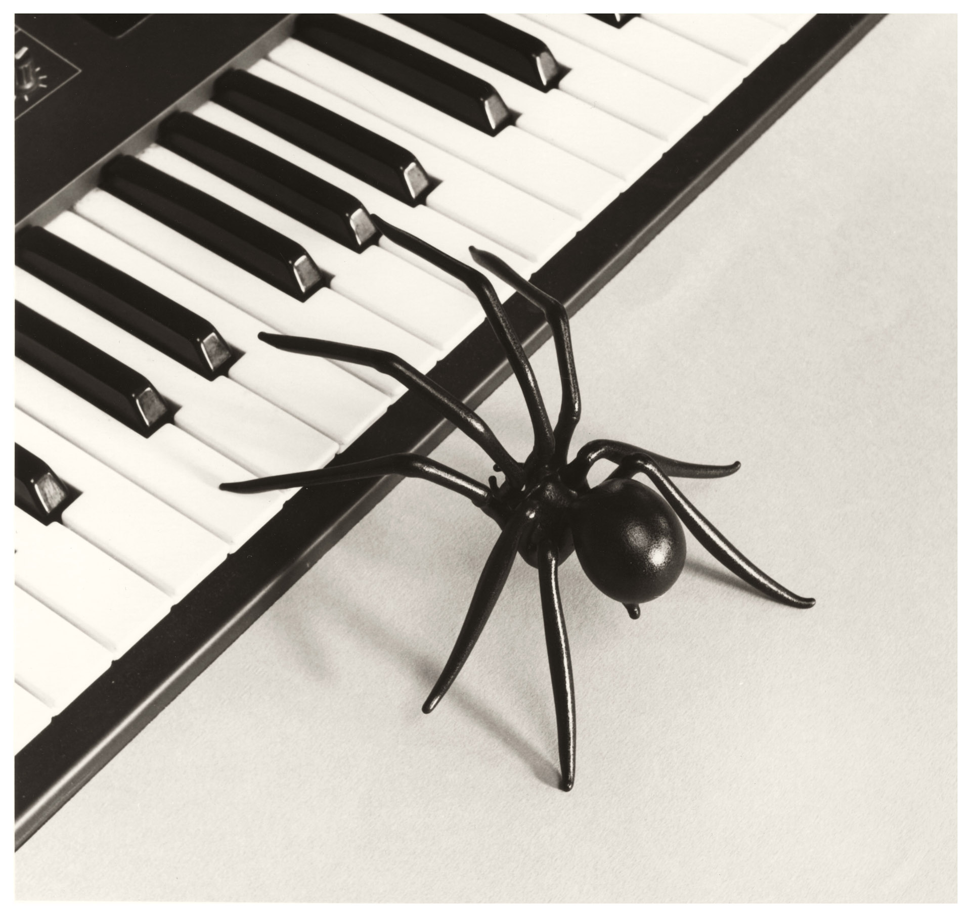 Chema Madoz nos muestra su Crueldad 2 Chema Madoz Crueldad