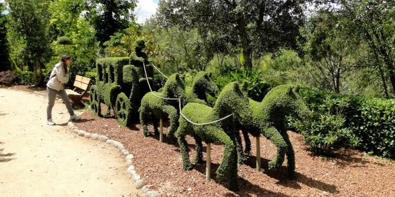 El Bosque Encantado, la naturaleza como plan de ocio 4 El Bosque Encantado