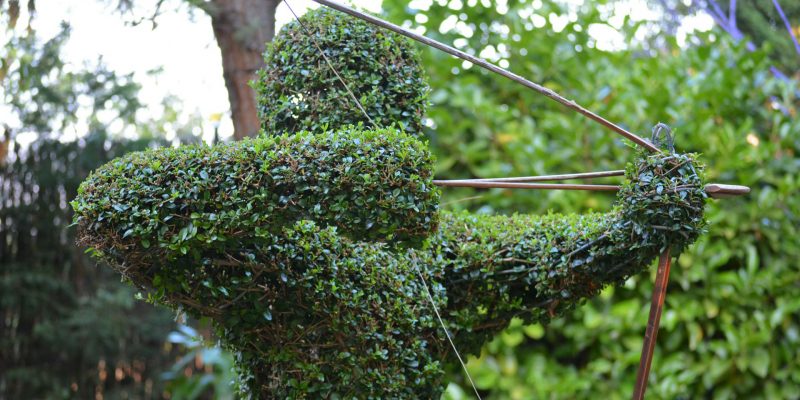 El Bosque Encantado, la naturaleza como plan de ocio 3 El Bosque Encantado
