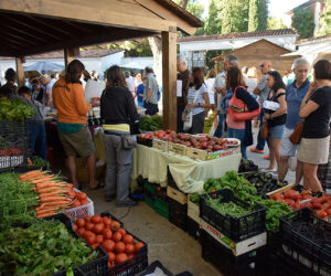 El Día de Mercado de la Cámara Agraria de Madrid: los productos frescos de más calidad sin intermediarios