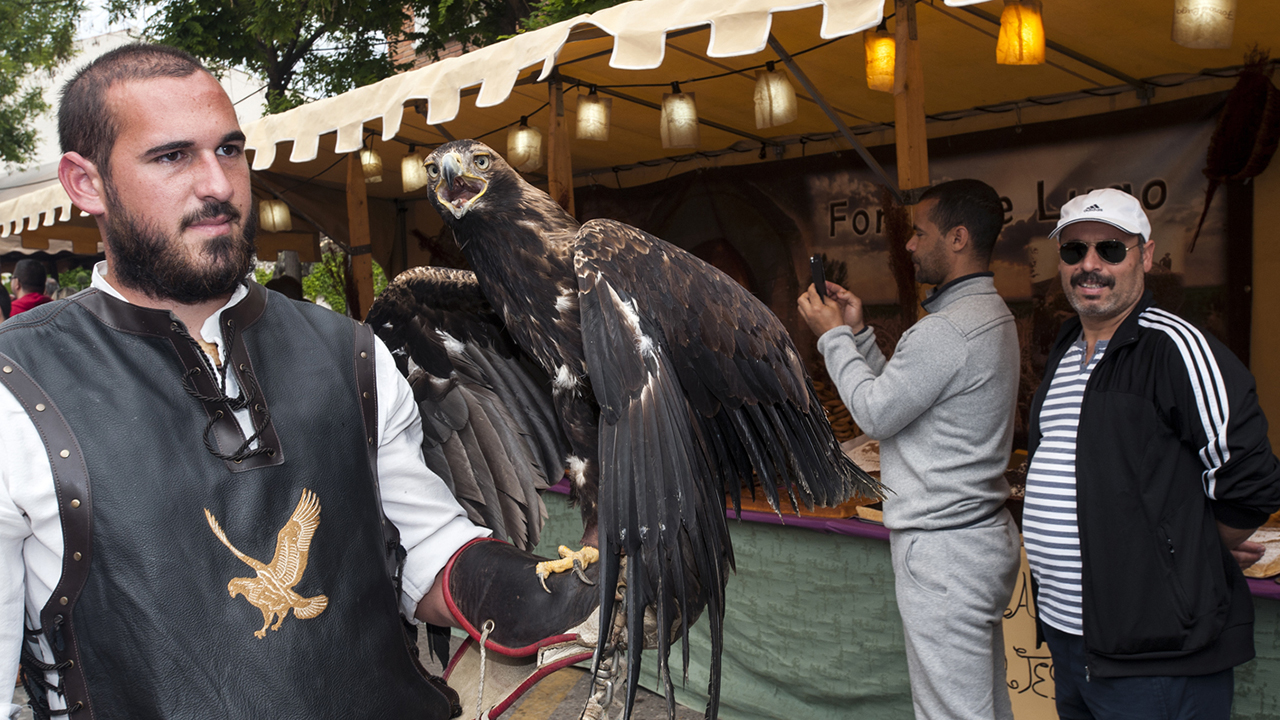 Gran Feria Medieval de El Álamo 2025 7 Gran Feria Medieval de El Álamo 2025